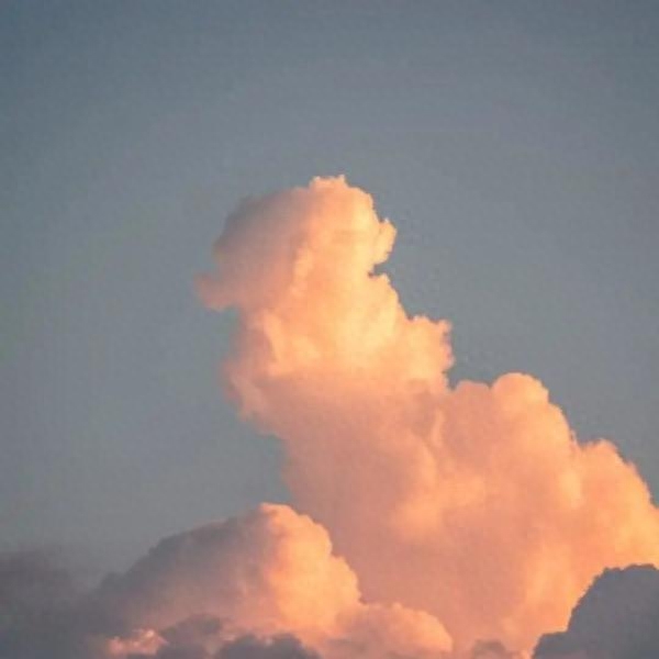 一大波美图来袭|请收藏