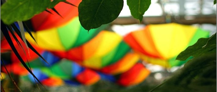 用好手中的器材,拍出生命的精彩