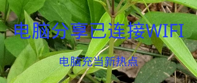 平板电脑怎么连校园网（苹果平板登录校园网）