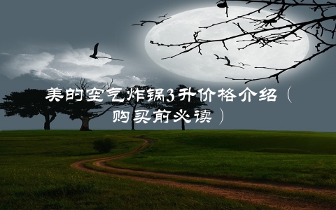 美的空气炸锅3升价格介绍（购买前必读）