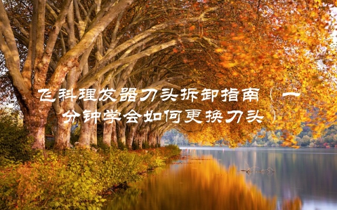 飞科理发器刀头拆卸指南（一分钟学会如何更换刀头）