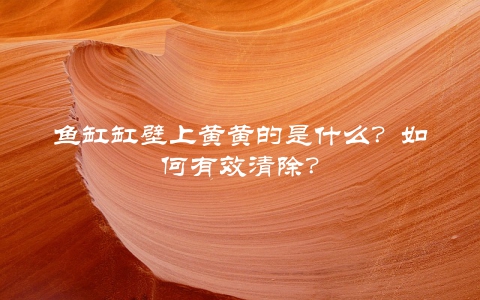 鱼缸缸壁上黄黄的是什么？如何有效清除？