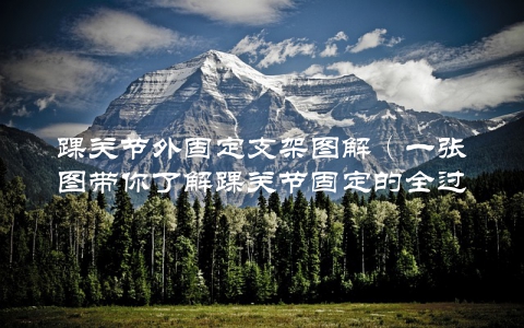 踝关节外固定支架图解（一张图带你了解踝关节固定的全过程）