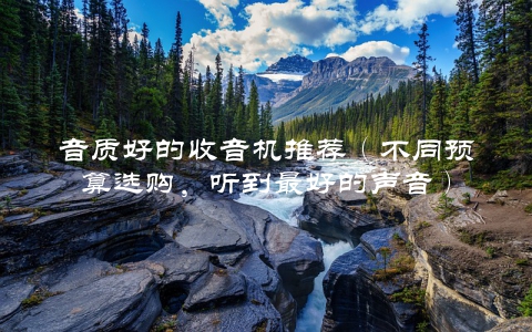 音质好的收音机推荐（不同预算选购，听到最好的声音）