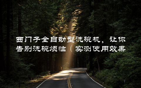 西门子全自动型洗碗机，让你告别洗碗烦恼（实测使用效果超乎想象）