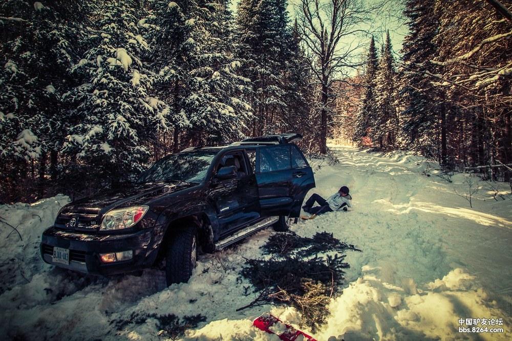 无人区遇险记-加拿大Algonquin(完整版)70楼更新;102楼情节陡转急下;117楼营救