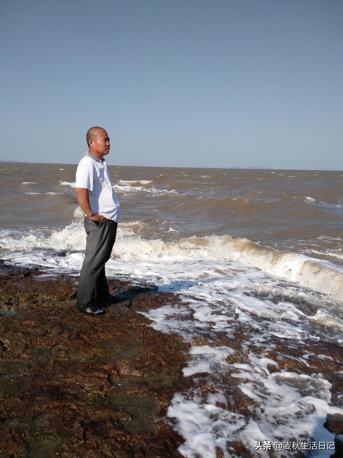 电脑基础知识:(八)显卡