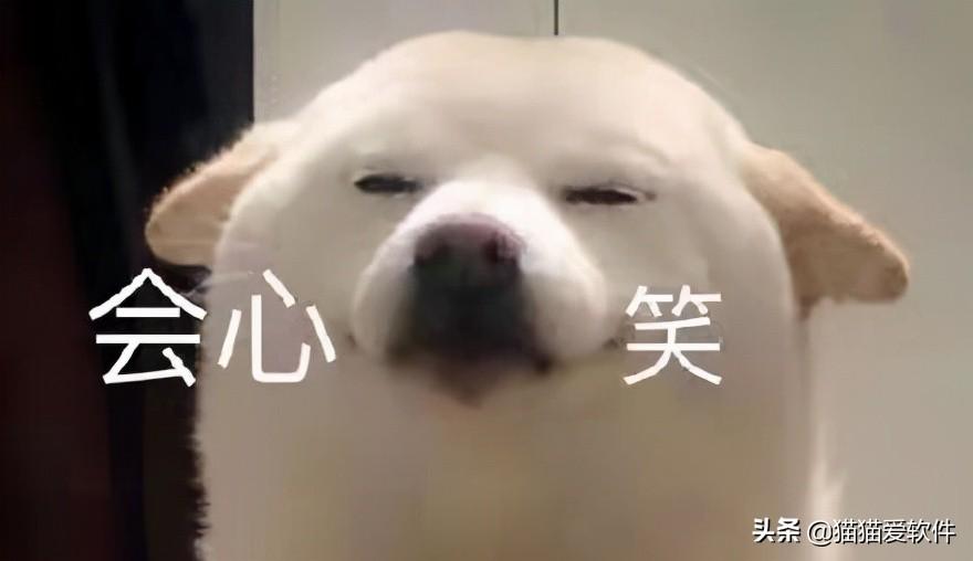 职场人必备的基本办公软件,你掌握了几个?