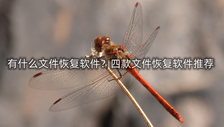 有什么文件恢复软件？四款文件恢复软件推荐