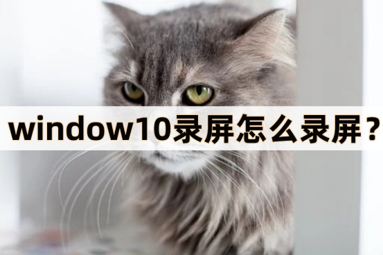 window10录屏怎么录屏？介绍三个录屏软件