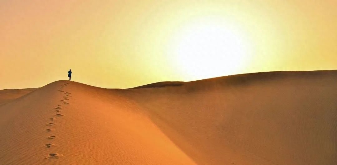 创业5年,穿越“无人区”,“转”出新起点