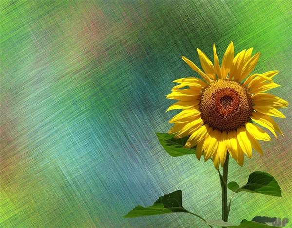 能成大器者，往往有这六个特征