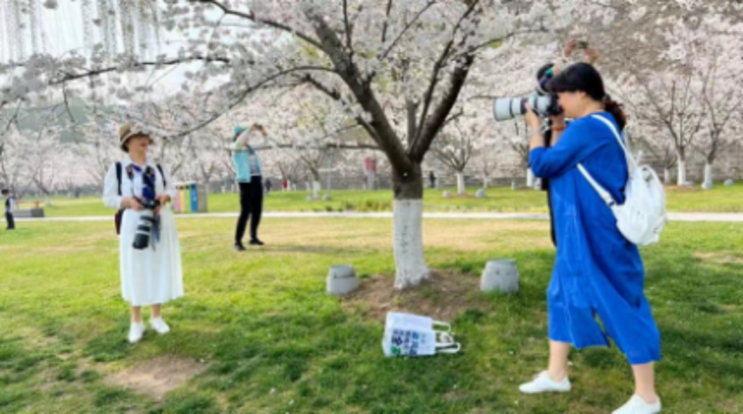 即便疫情,玩摄影的却越来越多?大家都在用什么相机?