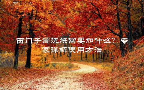 西门子筒洗烘需要加什么？专家详解使用方法