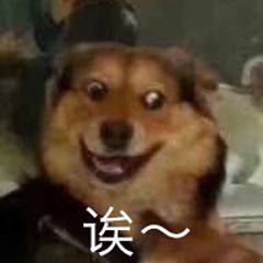 今年最香的大屏旗舰，终于杀回来了