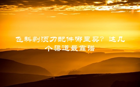 飞科剃须刀配件哪里买？这几个渠道最靠谱