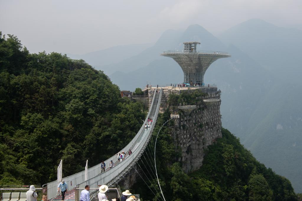 峡江转弯处的绿色崛起新事