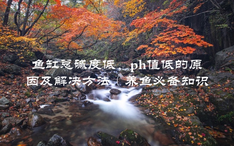 鱼缸总碱度低，ph值低的原因及解决方法（养鱼必备知识）