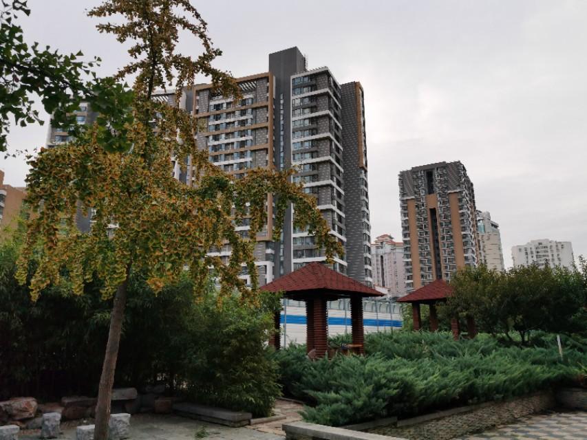 核心词汇in the circumstances既然这样