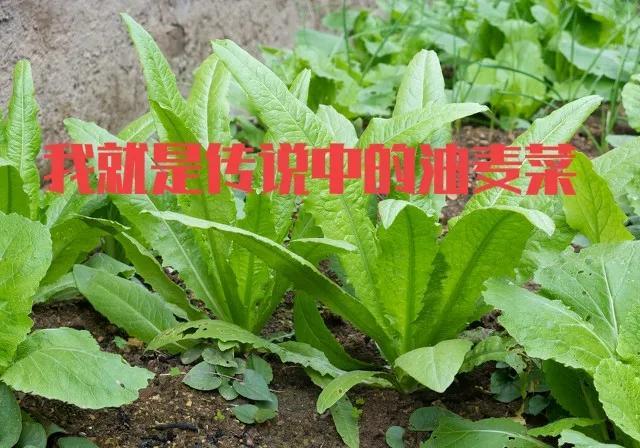 双击是什么意思（鼠标双击现象什么意思）