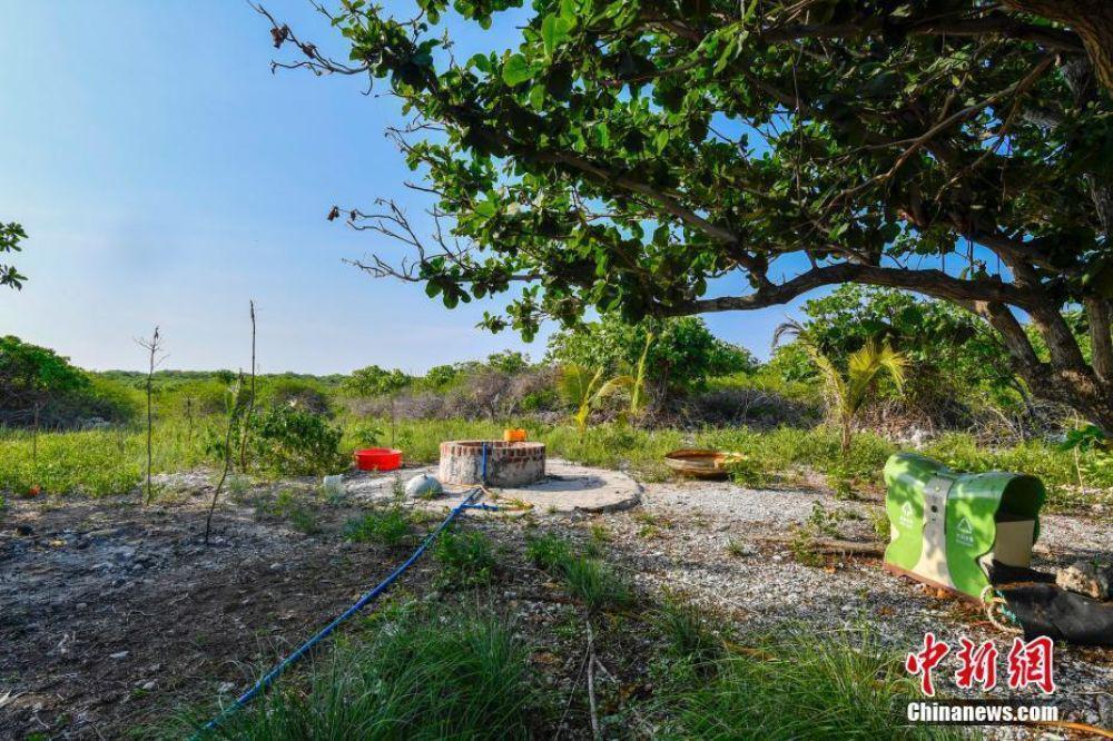 澳“政策论坛”网站：太平洋岛国旅游业指望中国游客