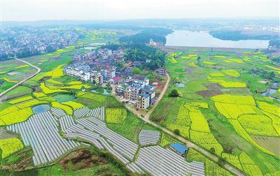 在希望的田野上谱写华彩乐章——2019年江西乡村振兴这样干