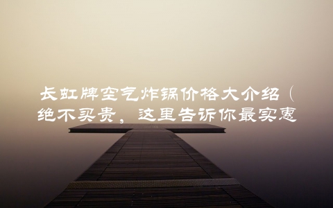 长虹牌空气炸锅价格大介绍（绝不买贵，这里告诉你最实惠的购买方式）