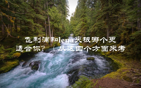 飞利浦和lena夹板哪个更适合你？（从这四个方面来考虑）