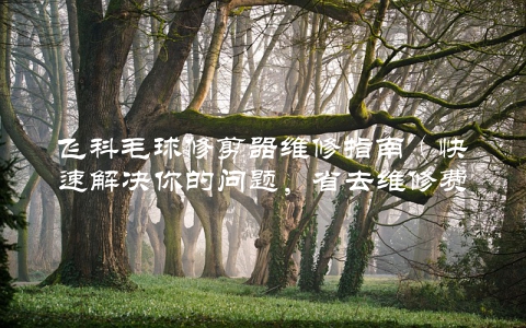 飞科毛球修剪器维修指南（快速解决你的问题，省去维修费用）