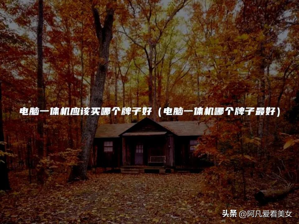 电脑一体机应该买哪个牌子好（电脑一体机哪个牌子最好）