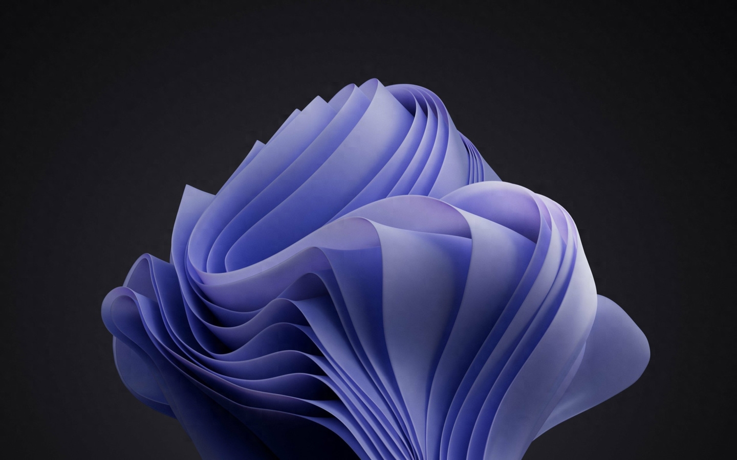 微软 Win11/10 主题“2022 年度彩通色”免费下载：Bloom 壁纸