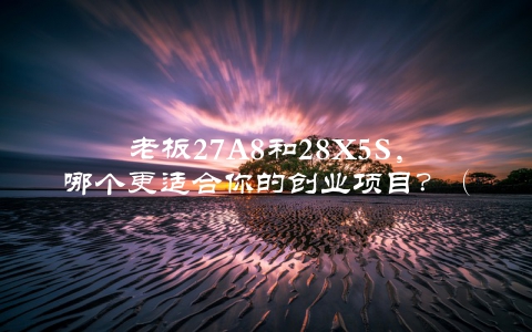 老板27A8和28X5S，哪个更适合你的创业项目？（详细分析对比）