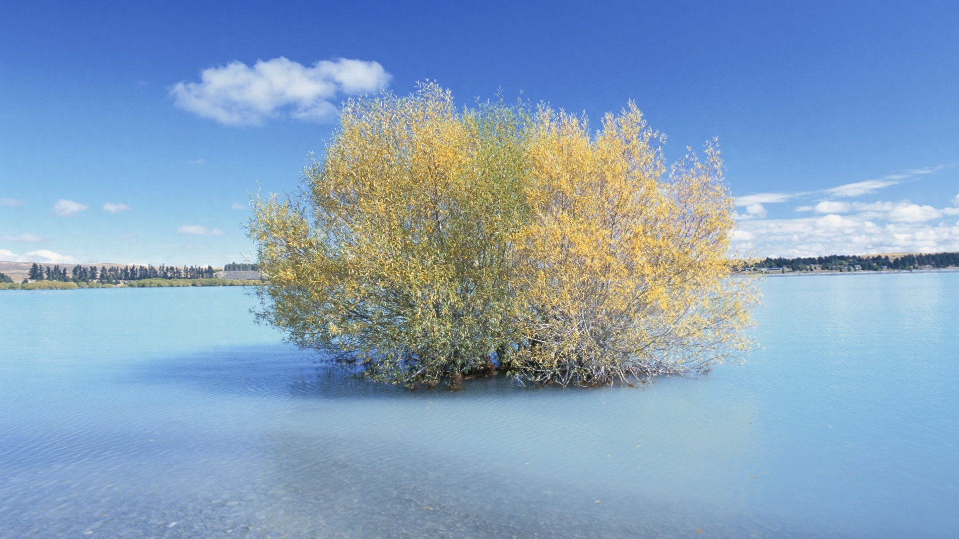 30张超清桌面壁纸,风光大赏