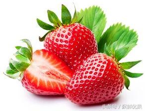 Strawberry（草莓）该如何完美的吸收营养方法你知道吗？