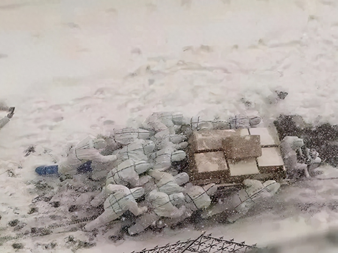 2021年的这些照片,忘不掉