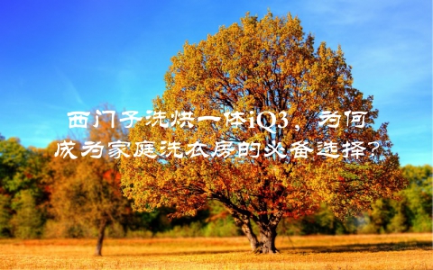西门子洗烘一体iQ3，为何成为家庭洗衣房的必备选择？
