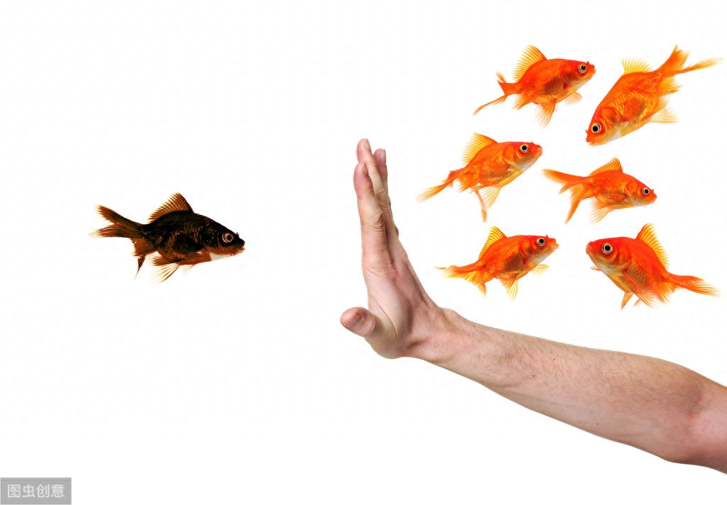 15秒记一个单词（第922个）prejudice