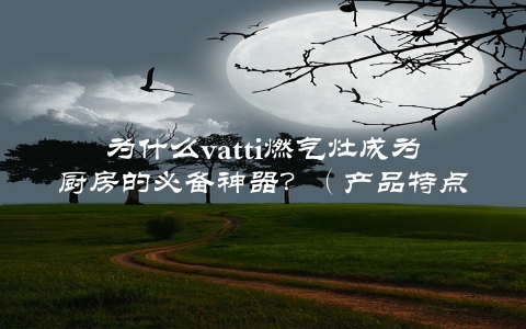 为什么vatti燃气灶成为厨房的必备神器？（产品特点与用户口碑分析）