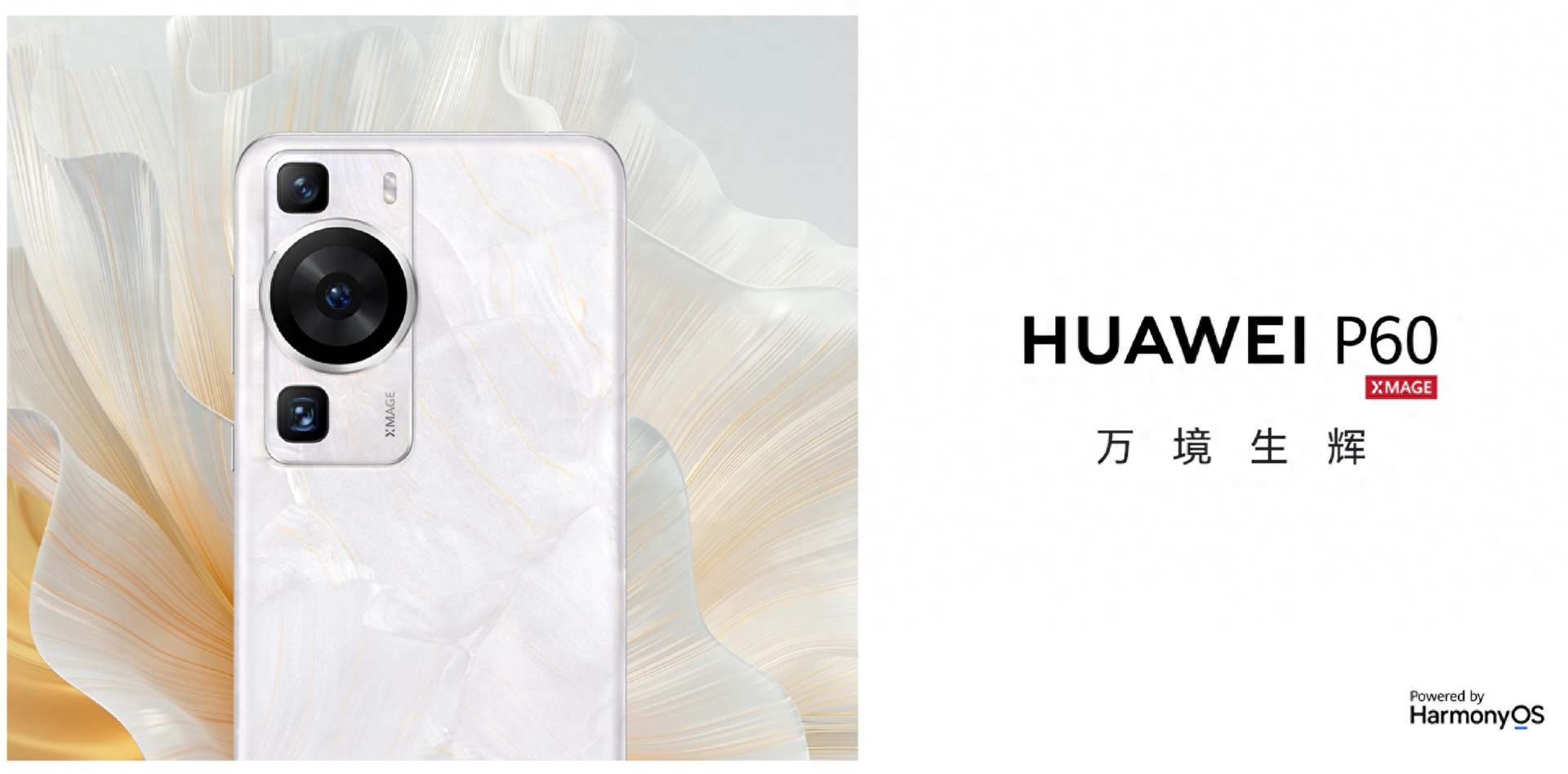 一篇文章速览今年无线充电手机,2023年1-12月无线充电手机盘点