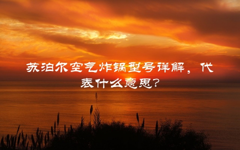 苏泊尔空气炸锅型号详解，代表什么意思？