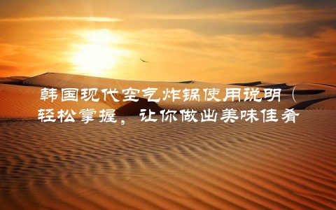 韩国现代空气炸锅使用说明（轻松掌握，让你做出美味佳肴）
