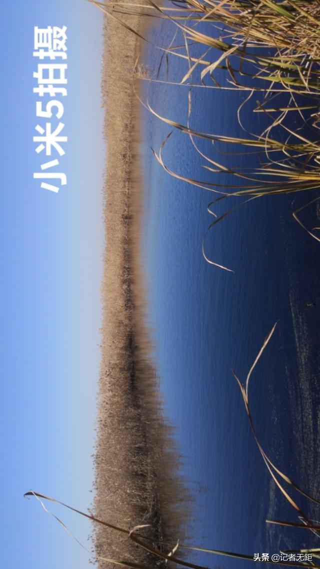 小米569 VS 三星Note8、S10+拍照对比