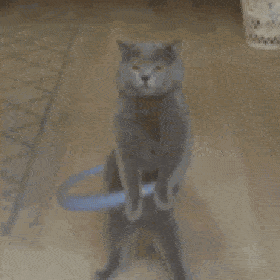 3D电脑桌面，BumpTop软件体验