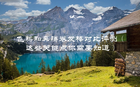 飞科和奔腾卷发棒对比评测（这些关键点你需要知道）