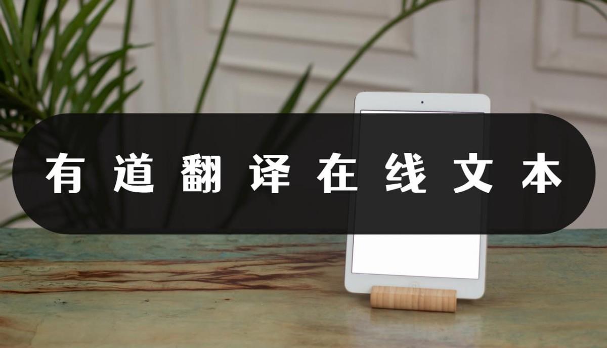 有道翻译在线文本？怎么翻译最好