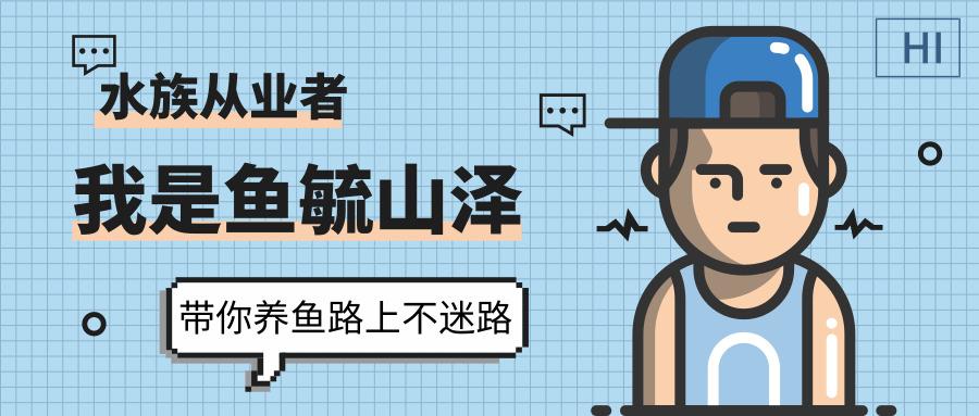 水族掌上时代| 好玩实用的水族手机论坛APP大推荐。