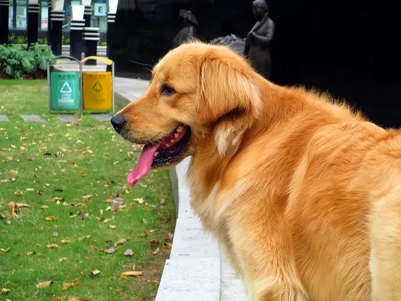 分享我滴第二台ccd佳能a4000is是来报恩吧性价比之王推荐有钱勿入