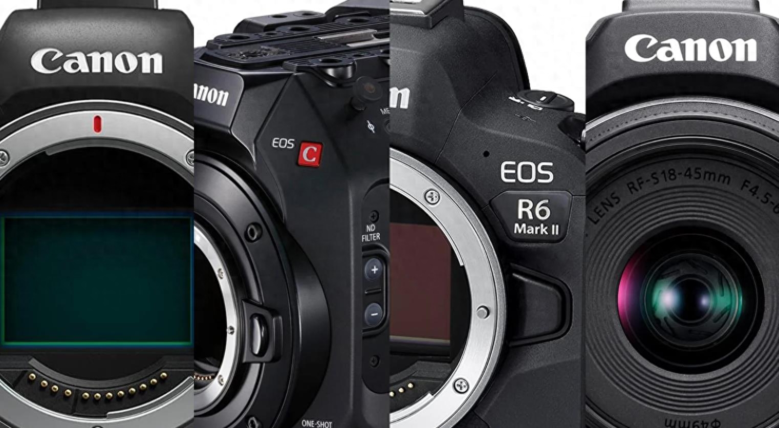 佳能相机排行榜：10款值得拥有的佳能相机