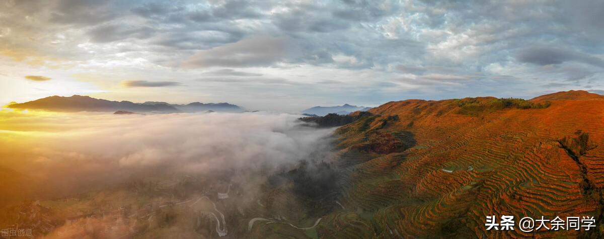 每日六级英语单词打卡