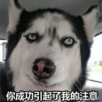 不需要第三方工具！打开手机这个功能就能免费制作炫酷的电子相册